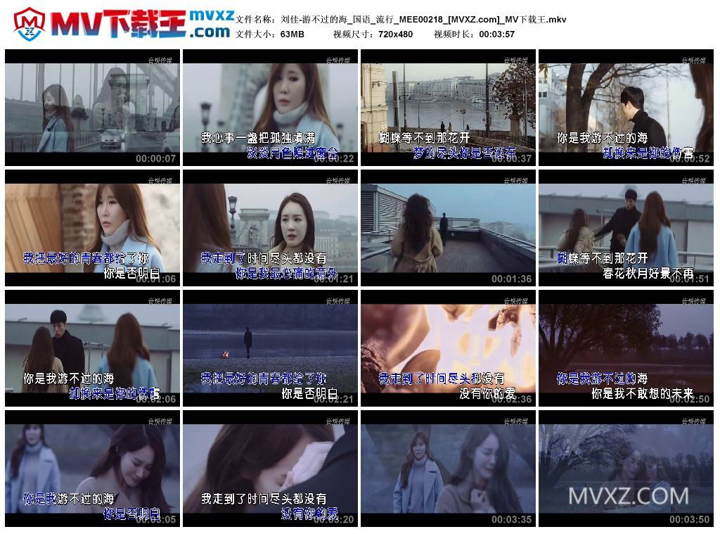 刘佳-游不过的海_国语_流行_MEE00218